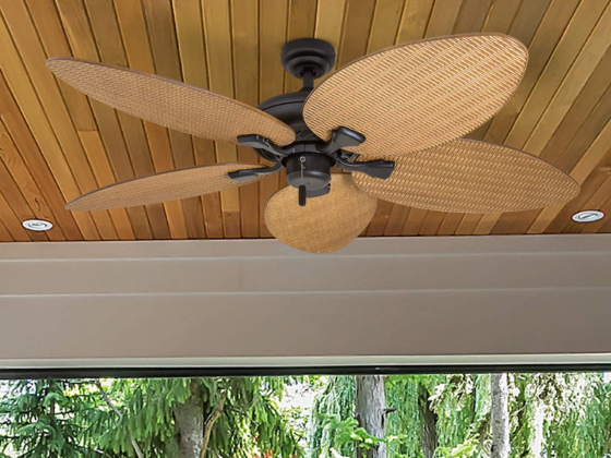 unique ceiling fan